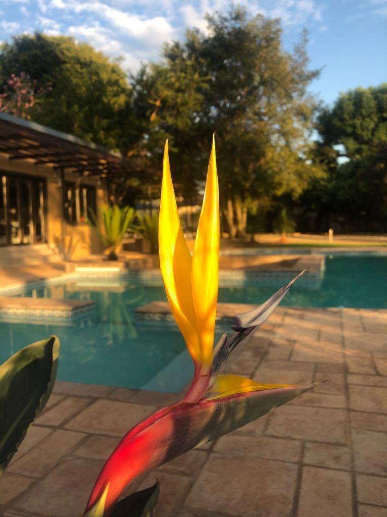 Manor Hills Guest Lodge Rustenburg Eksteriør billede